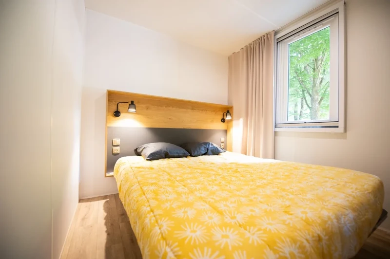 DSC_5406