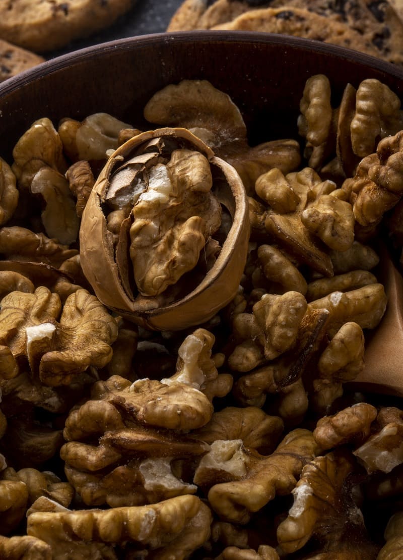 Noix Photolibrededroit