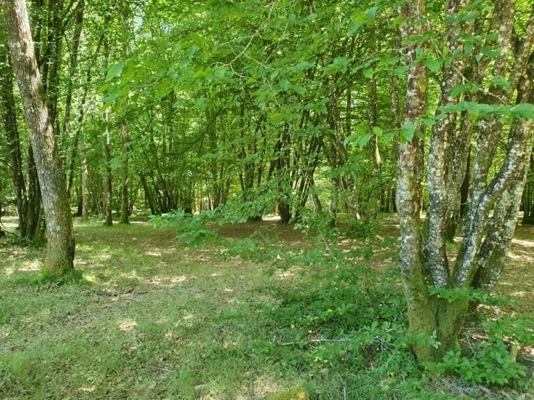 camping groupe - rouffiac